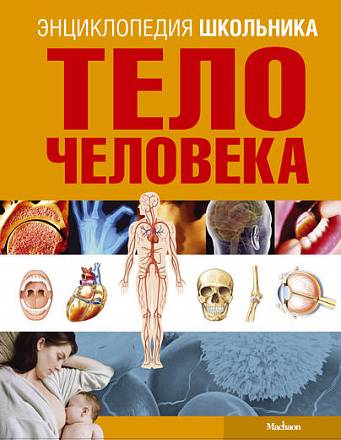 Энциклопедия школьника «Тело человека» 