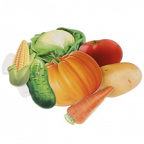 Развивающие карточки на шнурке – Овощи, В. Степанов (Умка, 4690590129593sim)