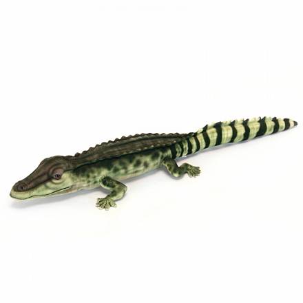 Мягкая игрушка - Крокодил Филиппинский, 72 см 