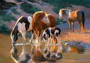 Пазл Castorland 500 деталей, Лошади (Castorland, C500-52097)