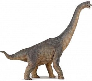 Фигурка – Брахиозавр, размер 8 х 30 х 40 см. (Papo, 55030_papo)