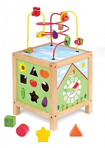 Игрушка развивающая - куб (Janod, J08165)