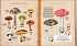 Книга - Грибы. Удивительные и малоизвестные факты из жизни грибов  - миниатюра №2