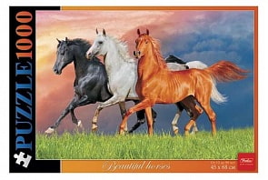 Пазл 1000 элементов – Красивые лошади (Hatber, 1000ПЗ2-13357)