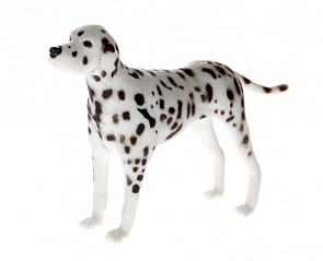 Фигурка Далматинца (GULLIVER Collecta, 88072b)