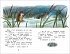 Книга из серии Внеклассное чтение – Козлов С. Сказки о ежике и медвежонке  - миниатюра №2