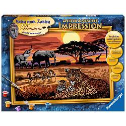 Раскрашивание по номерам «Африка» (Ravensburger, 28819st) - миниатюра