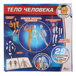 Игровой набор – Опыты: тело человека, 29 деталей (Играем вместе, KY-10002sim) - миниатюра