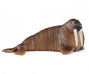 Фигурка - Морж (Schleich, 14803k)