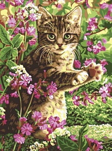 Раскраска по номерам Малыш (Lori, Ркн/ф-166)