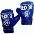 Боксерский набор №7: лапа и перчатки   - миниатюра №5