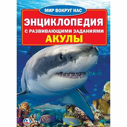 Энциклопедия детская с заданиями – Акулы, формат А4 
