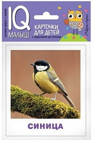 Набор карточек для детей - Умный малыш. Птицы. Ходюшина Н.П. (Айрис Пресс, 25983АП)