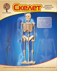 Модель деревянная сборная - Скелет человека, 3 пластины (Wooden Toys, P076) Модель деревянная сборная - Скелет человека, 3 пластины (Wooden Toys, P076)