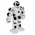 Радиоуправляемая игрушка – Робот, свет и звук  - миниатюра №4