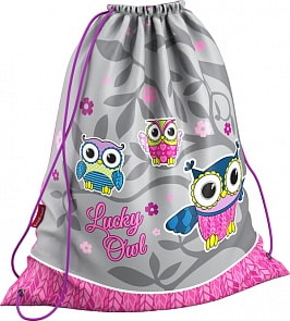 Сумка для сменной обуви - Lucky Owl (ErichKrause, 42349)