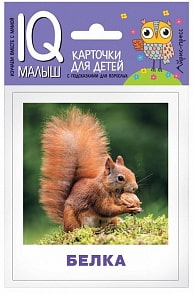 Карточки из серии Умный малыш - Кто живёт в лесу? (Айрис-Пресс, 25736АП)