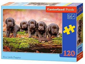 Пазлы Castorland - Пять щенков, 120 midi элементов (Castorland, B-13418)