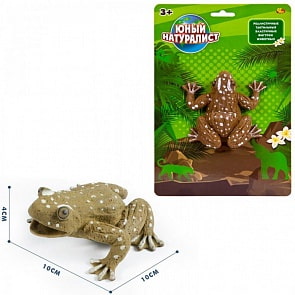 Юный натуралист. Животные - Лягушка, термопластичная резина (ABtoys,  PT-01157)