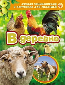 Энциклопедия в картинках "В деревне" (Росмэн, 06670-5)
