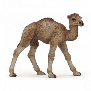 Игровая фигурка - Детеныш дромадера (Papo, 50166_papo)