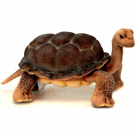 Мягкая игрушка – Галапагосская черепаха, 30 см. 