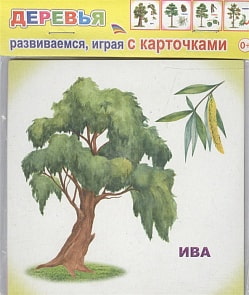 Обучающие карточки – Деревья, 0+ (Алфея, 978-5-91282-755-6)