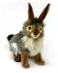 Мягкая игрушка – Чернохвостый заяц, 23 см (Hansa, 3754)