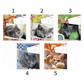 Тетрадь 18 листов Линейка «Lazy Kitten» (Полиграфика, 37525)