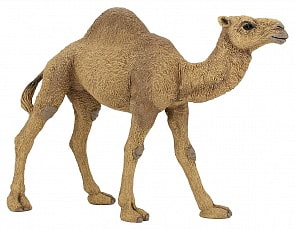 Одногорбый верблюд (Papo, 50151_papo)