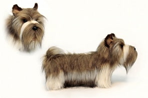 Мягкая игрушка – Скайтерьер, 50 см (Hansa, 5769)