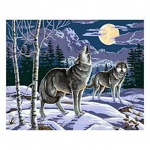 Раскраски по номерам - Картина «Ночные охотники», 40 х 50 см. (Белоснежка, 064-CG)