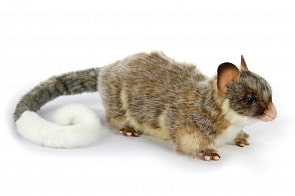 Кузу, 11 см (Hansa, 7359)