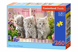 Пазлы Castorland - Серые котята, 260 элементов (Castorland, B-27491) - миниатюра