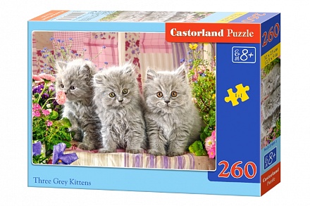 Пазлы Castorland - Серые котята, 260 элементов 