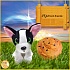 Игрушка-трансформер ТМ Sweet Pups - Сладкие щенки, 11 см  - миниатюра №7