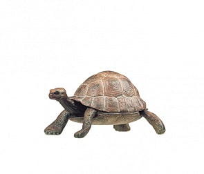 Фигурка – Черепаха (Papo, 50013_papo)
