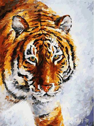 Раскраски по номерам - Картина «Тигр на снегу», 30 х 40 см. 