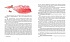 Книга - Линдгрен А. Кати в Италии  - миниатюра №2