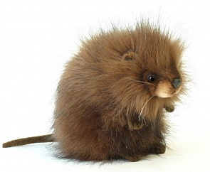 Мягкая игрушка – Ондатра, 22 см (Hansa, 5201)