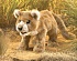 Мягкая игрушка - Африканский львенок, 46 см  - миниатюра №1