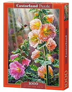 Пазл После дождя, 1000 элементов (Castorland, C-103584)