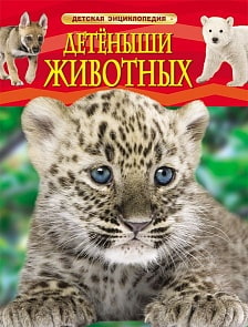 Книга «Детеныши животных» (Росмэн, 22213ros)