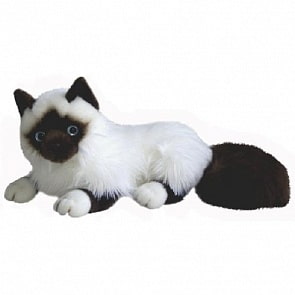 Кошка сиамская 45см (Aurora, 62-175)