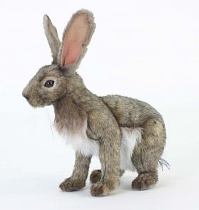 Мягкая игрушка – Заяц, 30 см (Hansa, 5304)