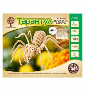 Сборная деревянная модель – Насекомые - Тарантул малый, 2 пластины (Wooden Toys, E017)