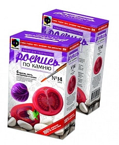 Набор для творчества №14. Роспись по камню " красная капуста, помидор, перец" (Фантазер, 394014) 