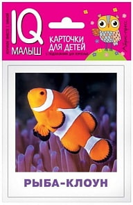 Набор карточек для детей - Умный малыш. Обитатели морей и океанов. Ходюшина Н.П. (Айрис Пресс, 25957АП)