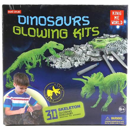 Игровой набор – Раскопки динозавра, светится в темноте 