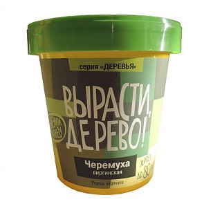 Набор для выращивания растений - Черемуха виргинская (Зеленый Капитал, zk-052)